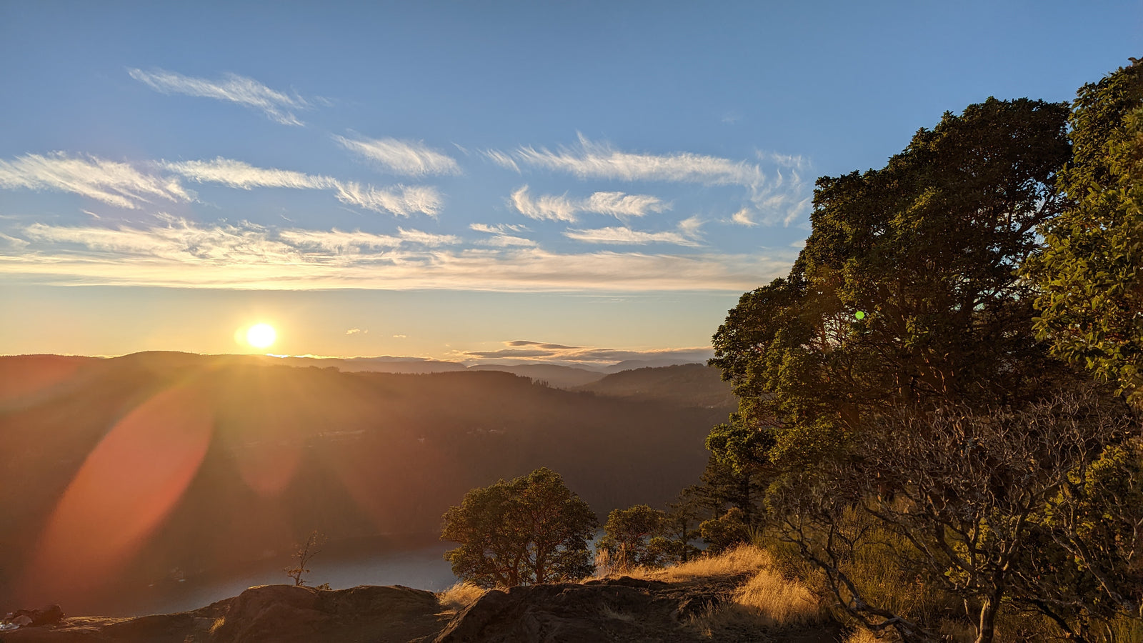 Ultimate Nutrition Guide for Coastline Endurance Athletes: Maximize Your Performance